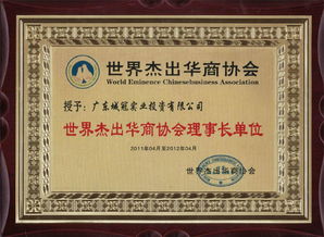 广东城冠实业投资集团图册——精准投资咨询，引领价值创造